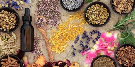 Herbal Tinctures