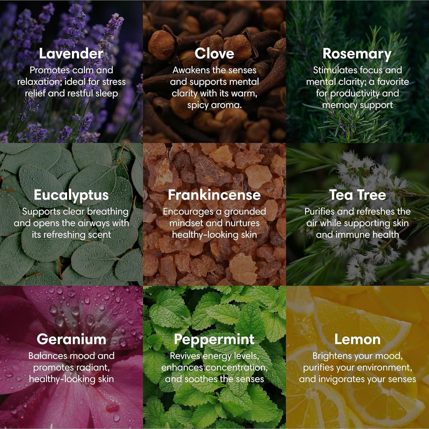 ProSeed Organic Essential Oil – Steam Distilled for Aromatherapy, Calm & Skin Care – Non-GMO, Handmade 10ml (0.33oz) (Rosemary)