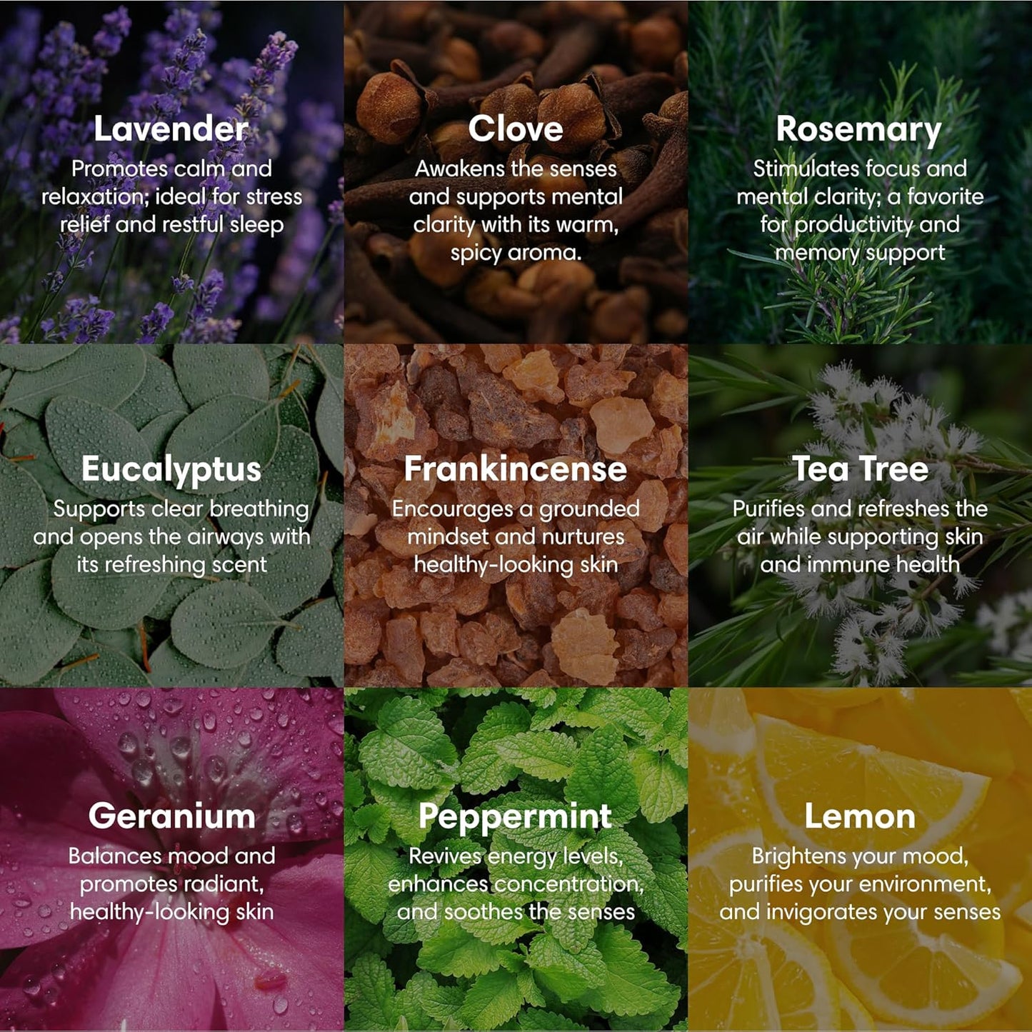 ProSeed Organic Essential Oil – Steam Distilled for Aromatherapy, Calm & Skin Care – Non-GMO, Handmade 10ml (0.33oz) (Clove)