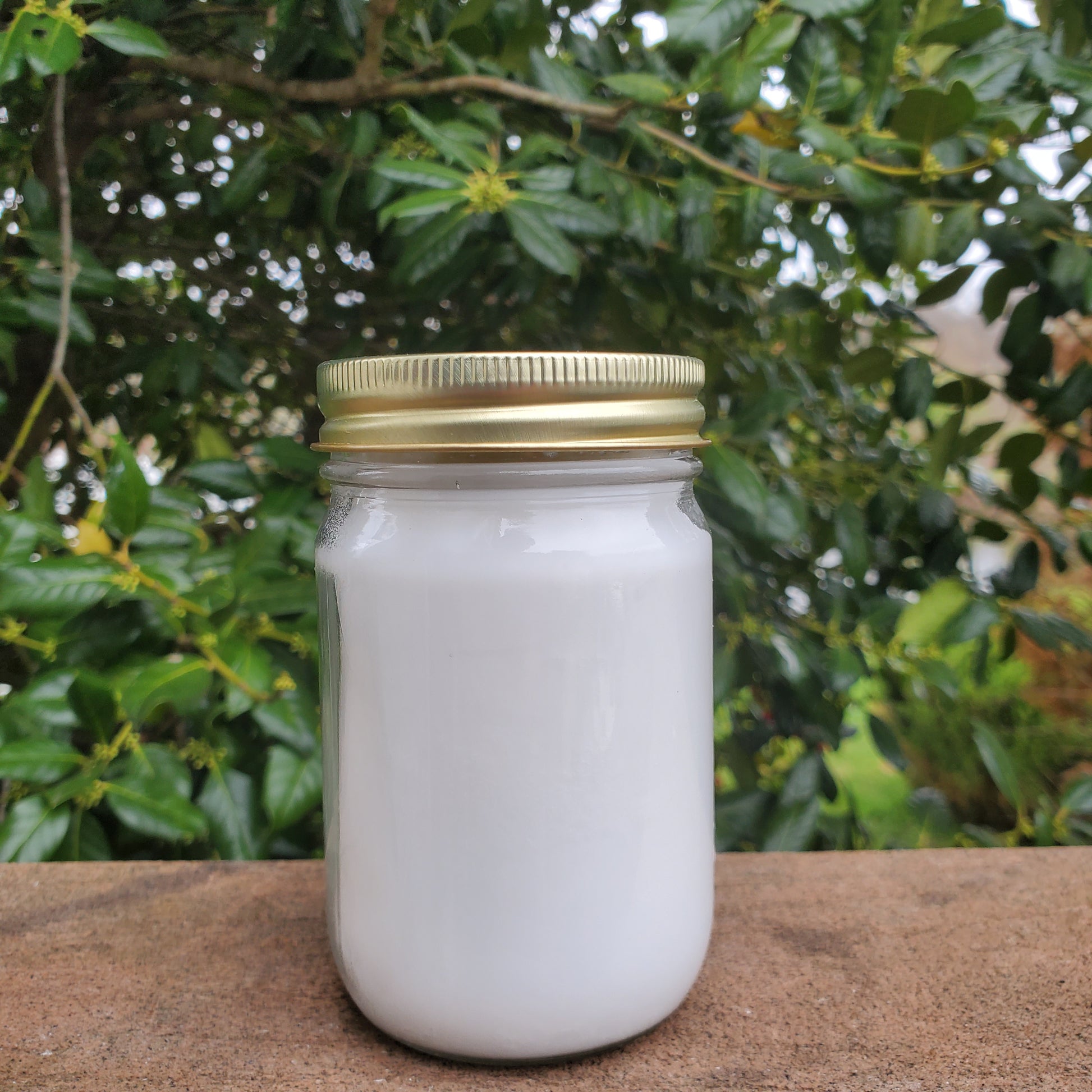 RAW Organic Babassu Oil | Unprocessed, Not Bleached, Unfiltered, Cold Pressed | Orbignya oleifera | 12 oz Glass Jar - ProSeed Holistic Wellness