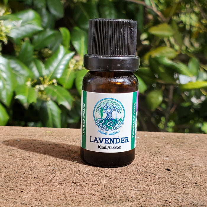 Organic Lavender Essential Oil | Steam Distilled from Lavendula angustifolia | Bulgarian Lavender | 10ml - ProSeed Holistic Wellness