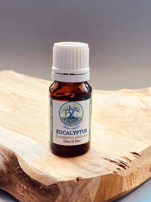 Organic Eucalyptus Essential Oil | Steam Distilled from Eucalyptus globulus | 10ml - ProSeed Holistic Wellness
