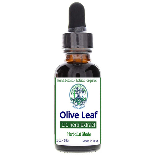 ORGANIC OLIVE LEAF EXTRACT | HERBAL TINCTURE | 1:1 herb extract | Hand Made - Herbalist Made | Made in USA | 1 oz